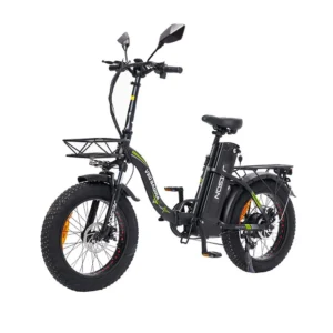Электровелосипед Jetson V20 BAGIRA X 750W (48V25Ah)