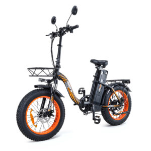 Электровелосипед Jetson V20 BAGIRA 750W (60V22Ah)